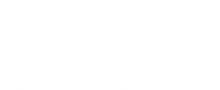 Semimaratonul Craiovei - un proiect ARTI.ro